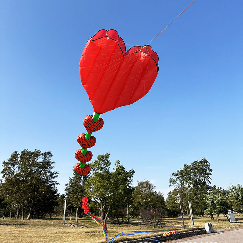 2026 New Heart Shape Kite Soft - Kids Outdoor Area 评论和价格