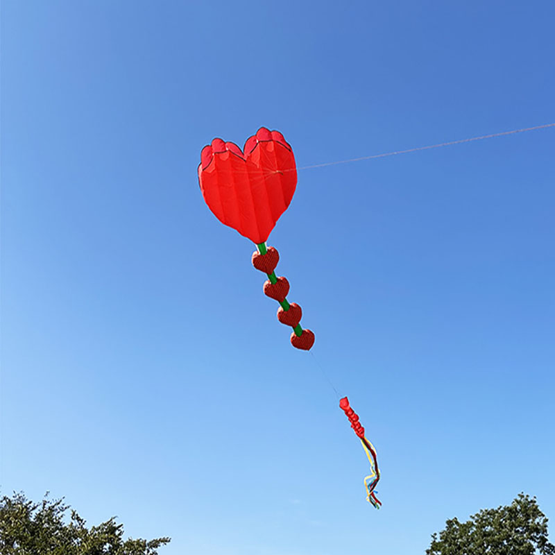 2026 New Heart Shape Kite Soft - Kids Outdoor Area 评论和价格